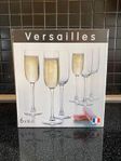 Versailles champagneglas 