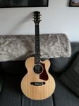 Gibson Parlor Rosewood AG