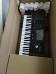 KORG PA1000