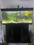 Juwel akvarium fisk 200 L