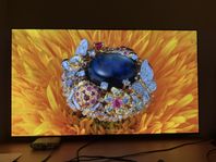 Samsung S95C OLED 55”