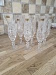 Champagneglas kristall 