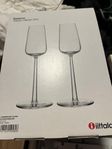 iitala champagne glas