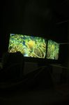 LG TV