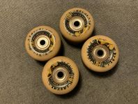 skateboard hjul Spitfire 54mm