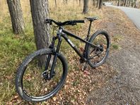 Bird Zero 29 Hardtail