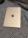 iPad Air 