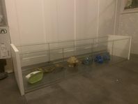 Hamsterbur Detolf med tillbehör