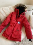 Canada Goose Expedition Parka 