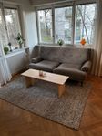 Soffa 2,5 sits från Möbelmästarna + matta