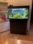 Akvarium Juwel Rio 125 liter med bänk