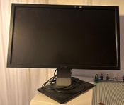 Monitor Dell