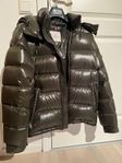 Moncler Maya & Acorus