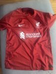 Liverpool Tröja Medium