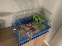 hamsterbur o tillbehör 