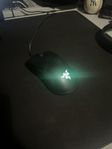 Razer Gamingmus