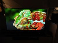 Samsung Q9FN 65"