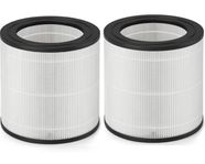 Replacement HEPA Filter FY0611 2 Pack