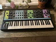 MOOG MATRIARCH 