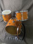 Ludwig Mod Orange Down Beat