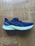 Asics GT-2000 12 Gore-Tex löparskor herr 44,5