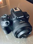 Canon r50 + RF 50 f/1.8 stm