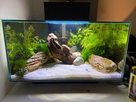 Akvarium - Juwel Edge 23L 