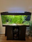 Juwel 180/LED möbelakvarium med massor av tillbehör