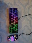 keyboard and mouse