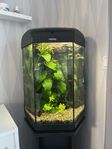 Akvarium Aquael med möbel