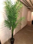 PalmKonstväxt i kruka, H 180 Ø 116 cm 6.5 kg