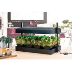 Inomhusdrivbänk Micro Grow Light Garden