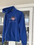 Gant Hoodie stl 176