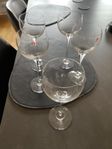 iittala vinglas