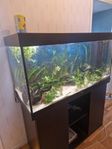 akvarium Juwel Rio 350l