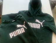 Pumatröjor, hoodie