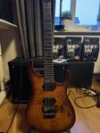 schecter banshee Fr passive