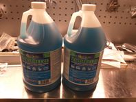 Starbrite Antifreeze