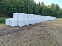 Hösilage, skördat 20/7, analys med fina värden, hög TS