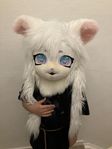 Fursuit anime cat head