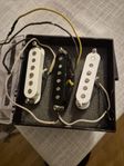 Eric johnson pickups set