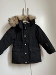 Ver de terre Artic coat