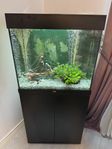 akvarium 120 liter