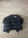 The North Face Vinterjacka 1996 Retro Nuptse