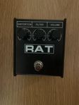 Proco Rat