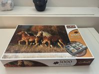 Trefl Puzzle 3000 pussel