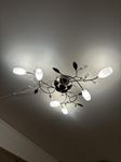 taklampa/plafond