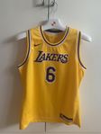 LeBron LA Lakers Nike NBA set (shorts, linne)