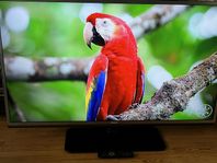 Philips 55" Smart LED TV. 