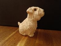 Sealyham terrier